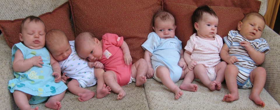 baby basics diapers